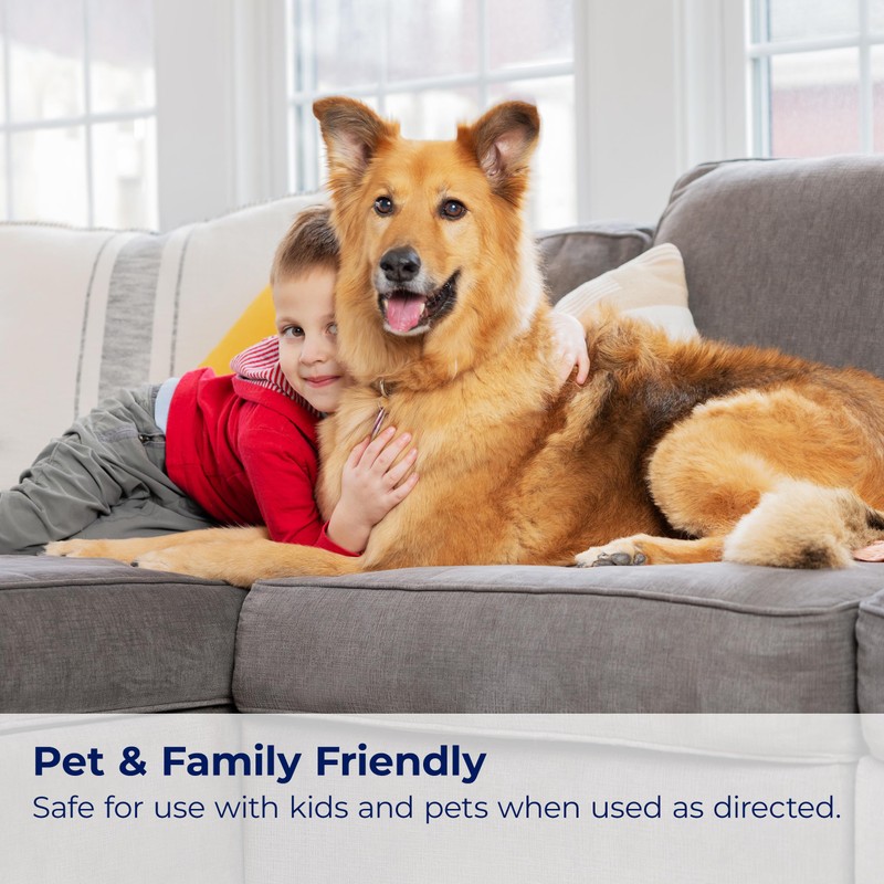 Bissell InstaClean Oxy Pet Spot and Stain Remover with Brush