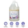 Ginger Lily Farms Botanicals All-Purpose Foaming Hand Soap Refill, Fragrance