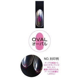 エリコネイル プロフェッショナル クリアチップ サイズ別チップ50枚入り EROVB-8