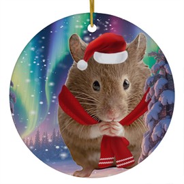 Funny Brown Hamster Christmas Ornament 2025 Ceramic Circle White - Festive Winter Northern Lights Holiday Xmas Tree Hanging Decoration Gifts for Hamster Lovers