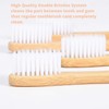 Cozyco Natural Bamboo Toothbrushes, Compostable and Biodegradable Wooden Toothbrush with