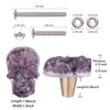 Amogeeli 4Pcs Skull Crystal Resin Brass Knobs with Screws, Decorative