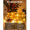 FIFlying Solar String Lights Outdoor 10.45M Solar Lights for Garden