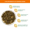 Organic Kombu Flakes - 1oz. Young Pure Seaweed Grown in