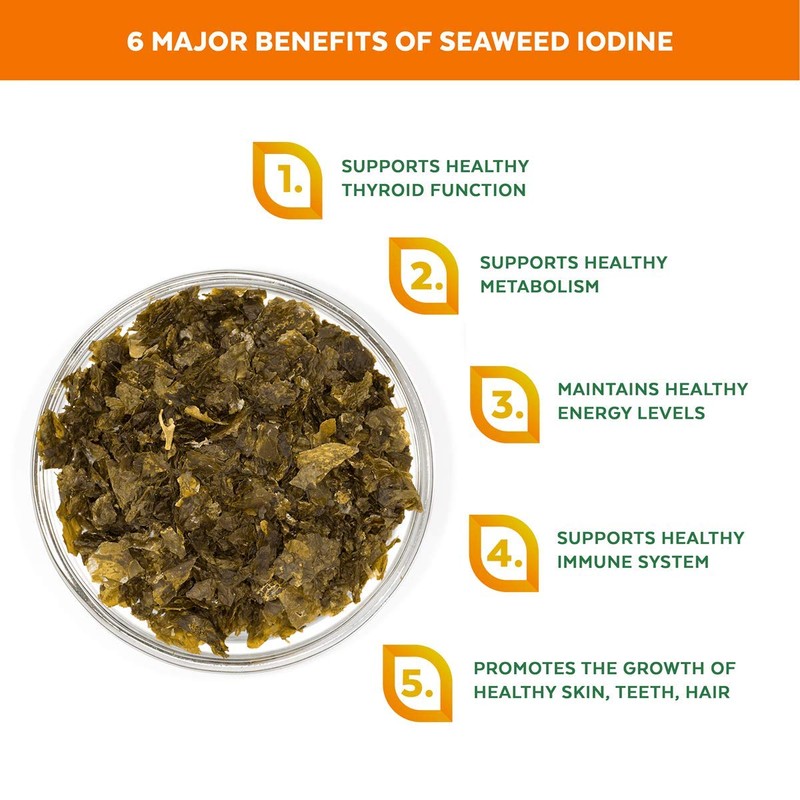 Organic Kombu Flakes - 1oz. Young Pure Seaweed Grown in