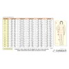 Lipedema Lymphedema, POTS support high compression leggins (K2=25-30 mmHg) -