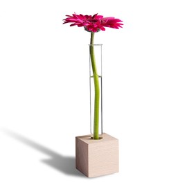 Tuuters Wooden Test Tube Vase - Modern Table Decoration, Includes High Quality Test Tube (Bech 1-Hole)