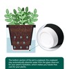 D'vine Dev 4 Inch Design Self Watering Planter for Indoor