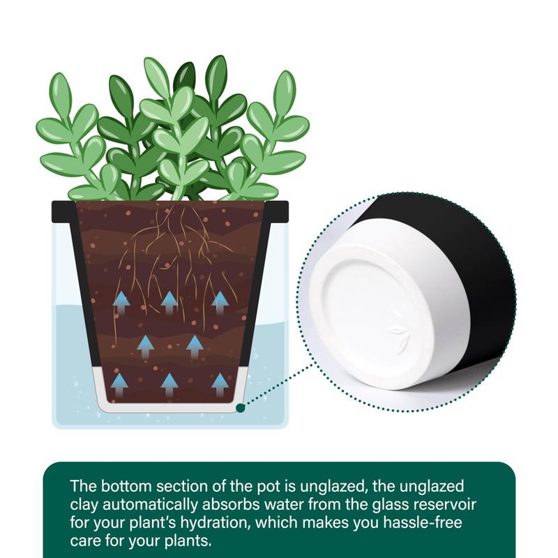 D'vine Dev 4 Inch Design Self Watering Planter for Indoor
