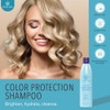 Ovation Color Therapy Shampoo - Salon Quality, Sulfate Free Shampoo