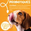 maxxipaws maxxidigest+ Probiotic & Prebiotic Powder Supplement - Digestive &