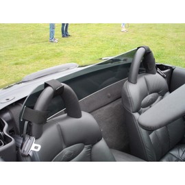 #1 Ranked Wind Deflector Windscreen Windstop Windblocker, Smoke Tint, Compatible with Chyrsler Prowler