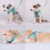 AIBPET Dog Harness with Leash for Small Dogs, Soft, Lightweight,