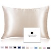 Ravmix Silk Pillowcase for Hair and Skin with Hidden Zipper,