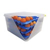 Egg Box with 4 Trays in Sturdy Blue Design for