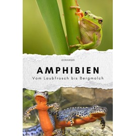 Amphibien - Das perfekte Geschenk für Männer und Frauen zu Weihnachten und Geburtstag: Vom Laubfrosch bis Bergmolch
