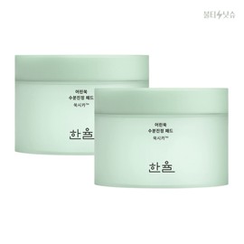 Hanyul Artemisia Pads Mugwort Cica Moisture Soothing Essence Pads 60 sheets, 2 boxes / 한율 어린쑥 패드 쑥시카 수분 진정 에센스 패드 60매 2통