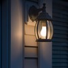 Maxxima LED A19-800 Lumens 60 Watt Equivalent Light Bulb Set