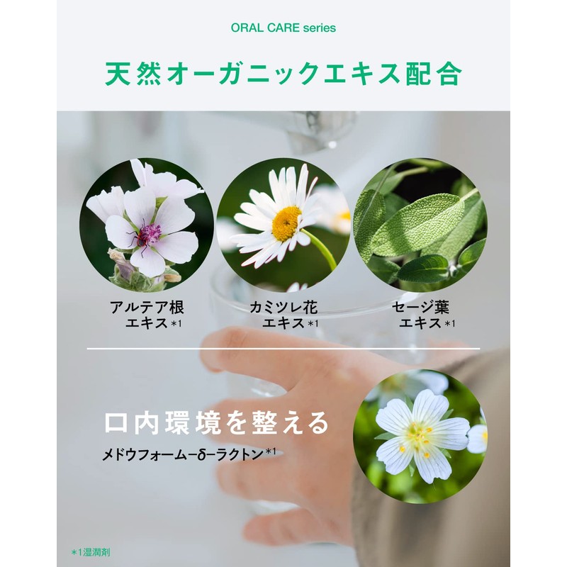 Better future BF Tooth Space (Set of 3)