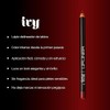Set viral Lapiz Delineador y Labial Mate IVY + Lip