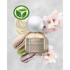 LOW CARB CAT [Catnip & Cherry Blossom Gourmand] - Size: