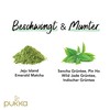 Pukka | Bio-Grüntee „Matcha Green“ | Grüner Tee und Matcha