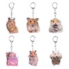 Nirxxiy 6 Pcs Cute Animal Keychain Set Cute Hamster Meme