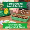 Back to the Roots 10-Cell Greenhouse Germination Kit | Includes