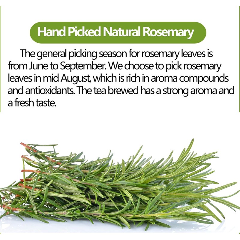 Premium Rosemary Tea Bags, 100 Teabags. Made with 100% Pure