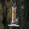 Cj wildlifeCj wildlife Wildbird Foods Feeder Tray Standard, Transparent, VIT-22043
