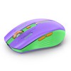 RAPIQUE Bluetooth Wireless Mouse - (BT1/BT2+USB Receiver) Dual Mode, Rechargeable,