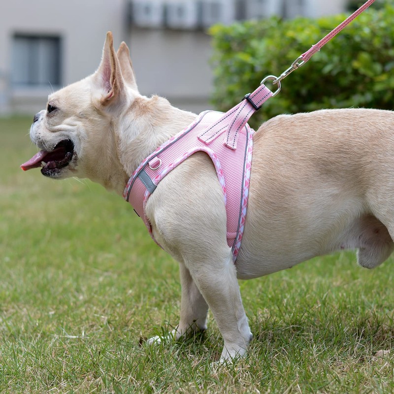 Mercano Soft Mesh Dog Harness and Leash Set, No-Chock Step-in