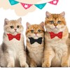 Giantree Pack of 2 Velvet Cat Collars, Cat Bow Tie