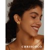 Chriscoco 2Pairs Gold Earrings for Women Hypoallergenic Gold Hoop Earrings