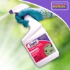 Bonide 428 Eight Insect Control Garden & Home Outdoor Insecticide,