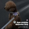 Pawaboo Small Dog Harness and Leash Set, Puppy Harness X-Frame