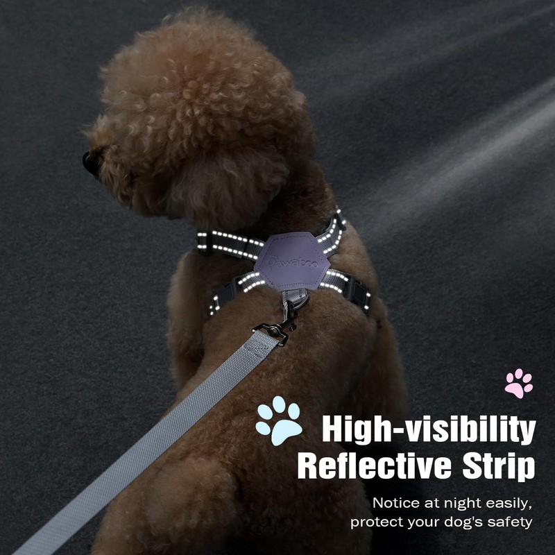 Pawaboo Small Dog Harness and Leash Set, Puppy Harness X-Frame