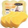 Xtremeauto JUMBO Sponges For Car Cleaning, Washing & Windows -