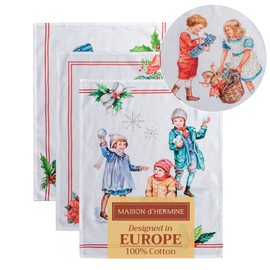 Maison d' Hermine Chromo 100% Cotton Set of 3 Multi-Purpose Kitchen Towel Soft Absorbent Dish Towels Tea Towels Bar Towels Spring/Summer (50cm x 70cm)