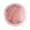 Bodylife Beauty Makeup Natural Mineral Eyeshadow Powder Beloved 2.5g