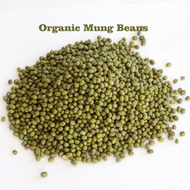 100 % GROWN ORGANIC MUNG BEANS BULK SPROUTING SEEDS (2 lb)