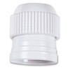 Staedter Adapter, White, XX-Large, 2-Piece