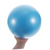 FUNOMOCYA Exercise Ball Small Core Ball Gym Exercise Ball Yoga