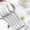 Dinner Spoons Set of 12, E-far Stainless Steel Spoons Silverware