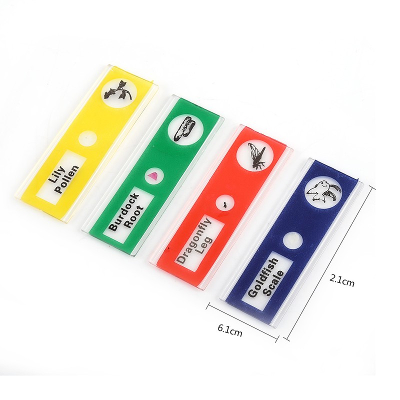 A Set Plastic Prepared Microscope Slides Animals Insects Plants Flowers