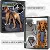 Car Ride Dog Seat Belt - 2 Pack Pet Car