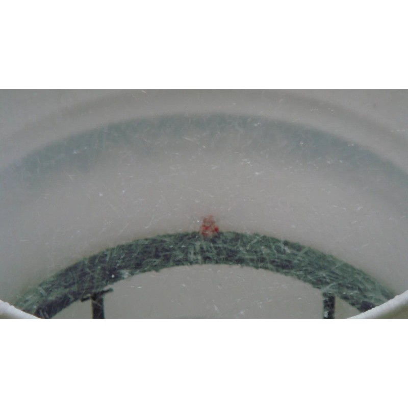 Custom Home Made CLONE-N-GROW Aeroponic DWC Bubbler Bucket -Growing System 4X3"