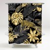 Sanilo Shower Curtain Many Beautiful Shower Curtains to Choose From