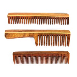eSplanade Peigne en bois pour hommes et femmes (ensemble de 3) - antistatic peigne fait main en palissandre indien, barbe et peigne moustache.