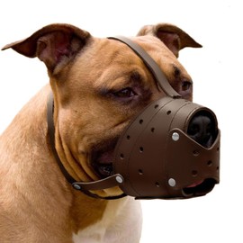 CollarDirect Leather Basket Dog Muzzle for German Shepherd Staffordshire Terrier Pitbull Medium Large Breeds Training, Anti-Barking, Biting, Chewing (Brown)